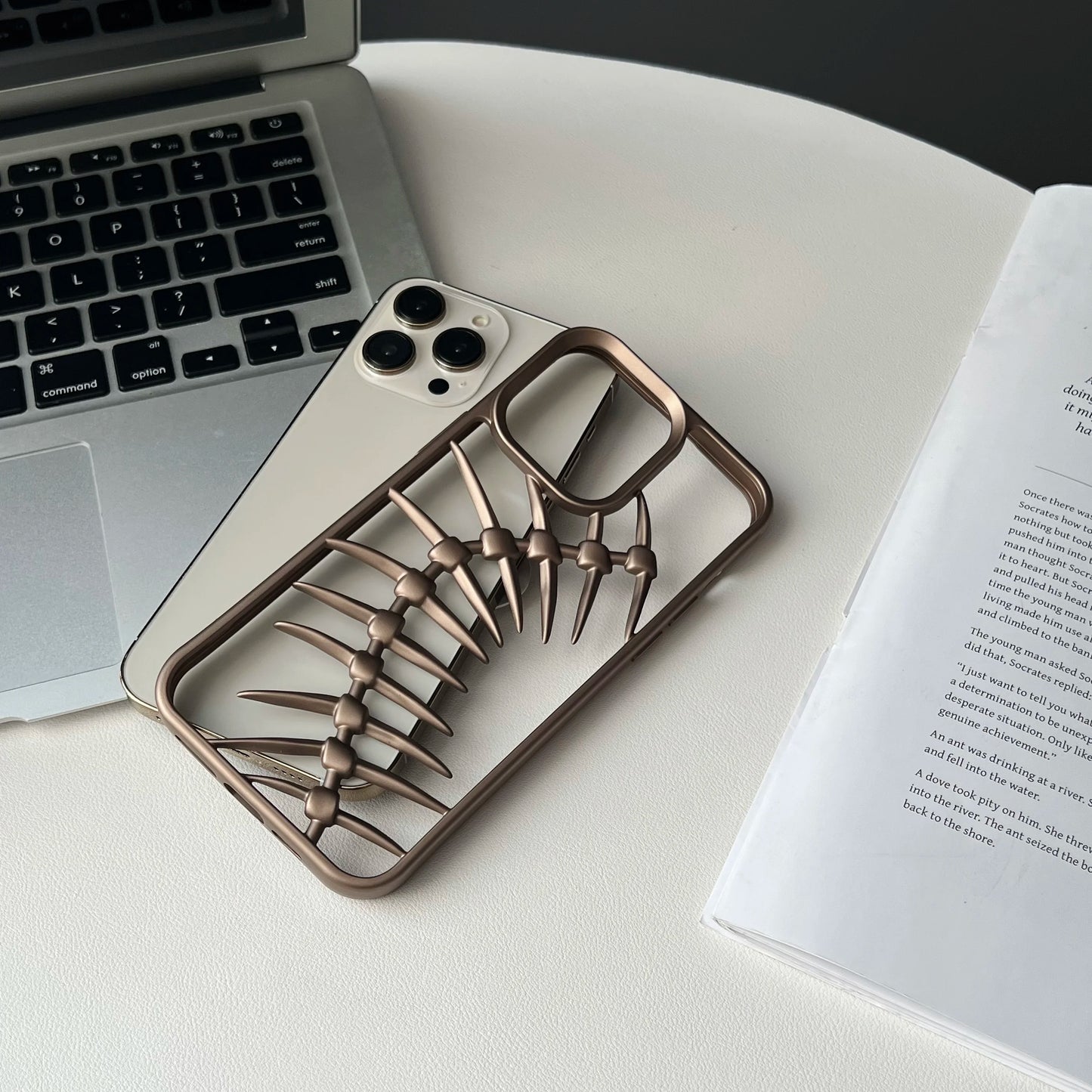 Fishbone Frenzy Case