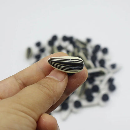Sunflower Seed Jibbitz (10/20pcs)
